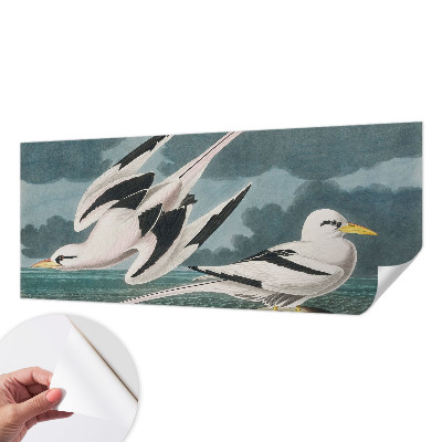 Removable wall mural wallpaper featuring a birds by the sea motif