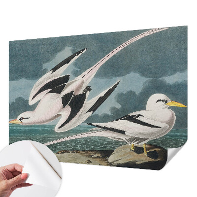 Removable wall mural wallpaper featuring a birds by the sea motif