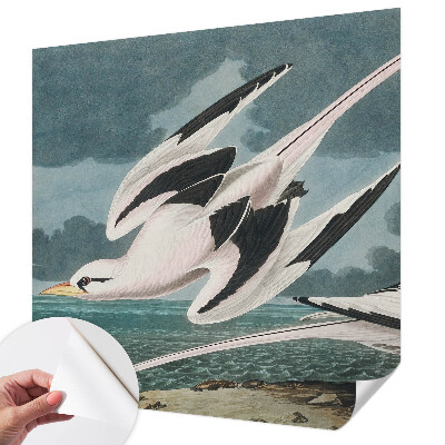 Removable wall mural wallpaper featuring a birds by the sea motif