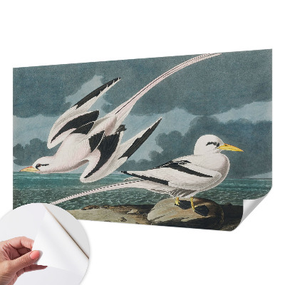 Removable wall mural wallpaper Birds by the sea
