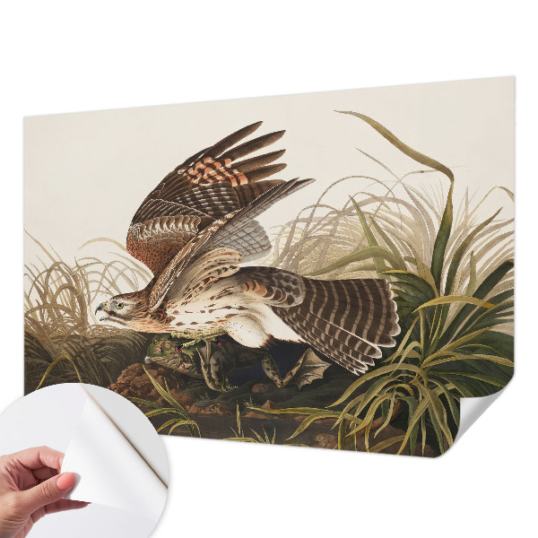 Peel and stick wall mural for living room featuring the Winged Beauty design