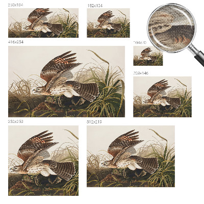 Peel and stick wall mural for living room featuring the Winged Beauty design