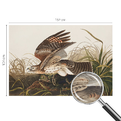 Peel and stick wall mural for living room featuring the Winged Beauty design