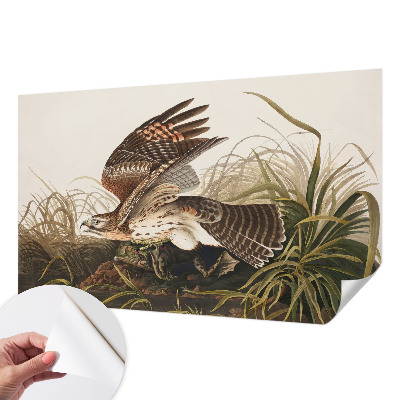 Peel and stick wall mural for living room featuring the Winged Beauty design