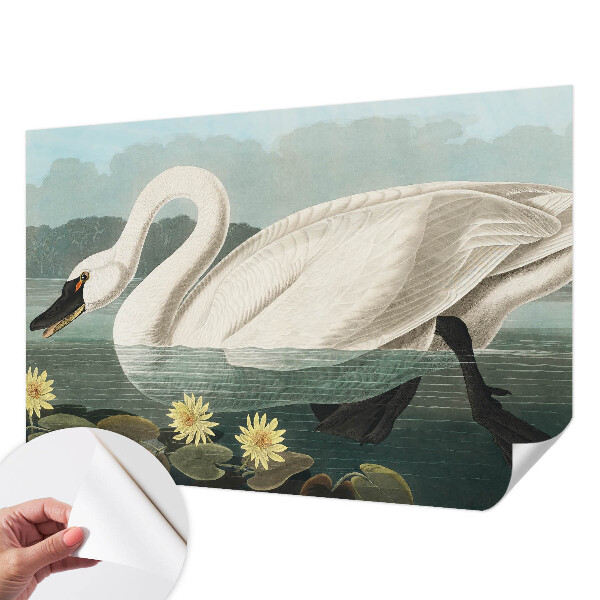 Peel and stick wall mural for kids' room with a swan and water lilies