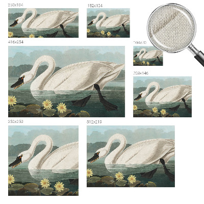 Peel and stick wall mural for kids' room with a swan and water lilies