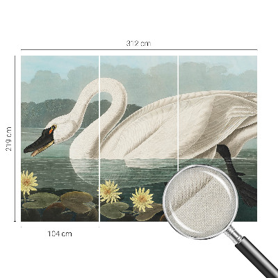 Peel and stick wall mural for kids' room Swan and water lilies
