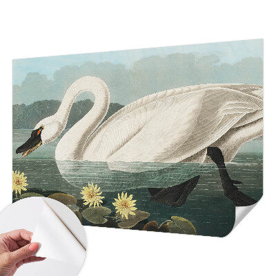 Peel and stick wall mural for kids' room with a swan and water lilies