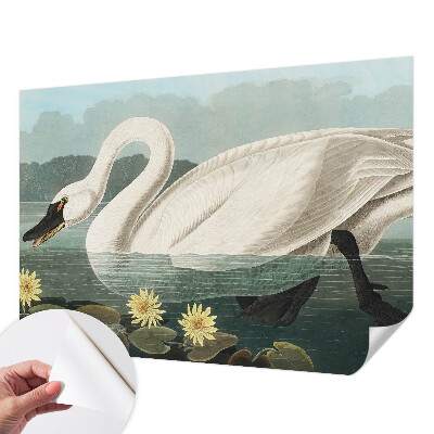 Peel and stick wall mural for kids' room with a swan and water lilies