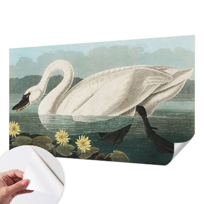 Peel and stick wall mural for kids' room with a swan and water lilies