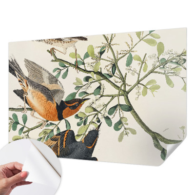 3D wall mural featuring colorful birds