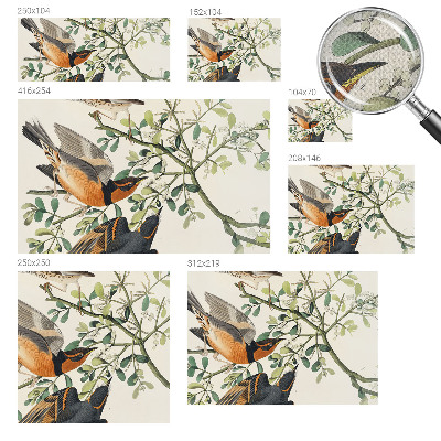 3D wall mural featuring colorful birds