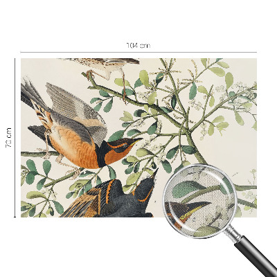 3D wall mural featuring colorful birds