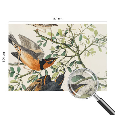 3D wall mural featuring colorful birds