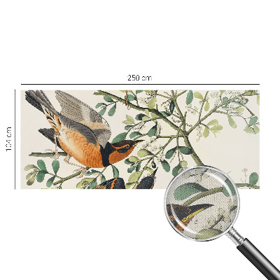 3D wall mural featuring colorful birds