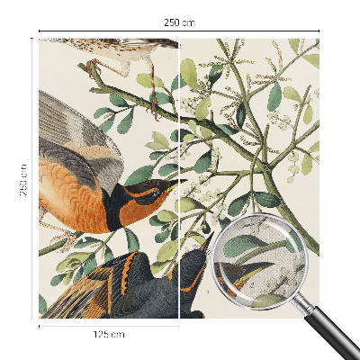 3D wall mural featuring colorful birds