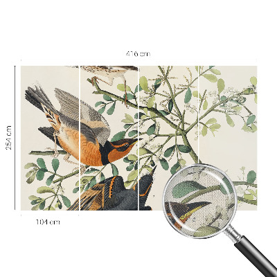3D wall mural Colorful birds