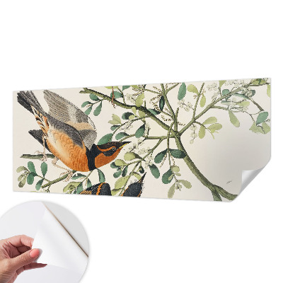 3D wall mural Colorful birds