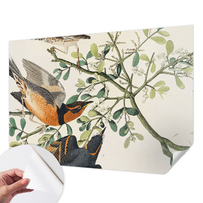 3D wall mural featuring colorful birds