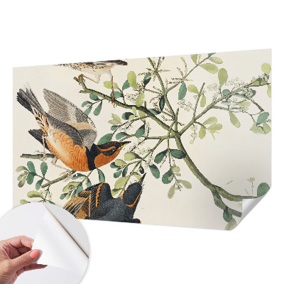 3D wall mural featuring colorful birds