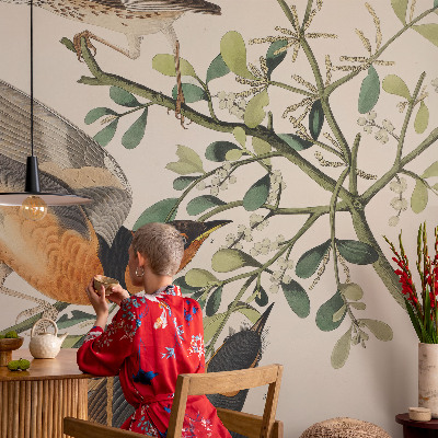 3D wall mural featuring colorful birds
