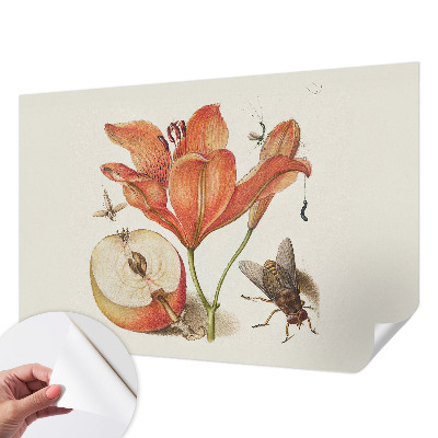 Self-adhesive wall mural Botanical illustration