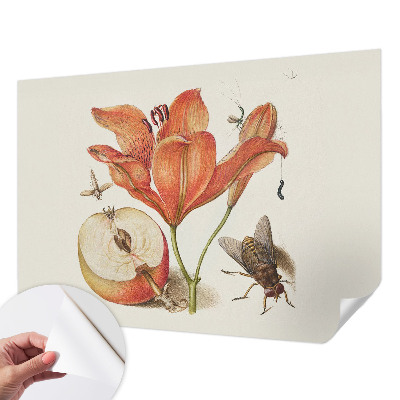 Self-adhesive wall mural Botanical illustration