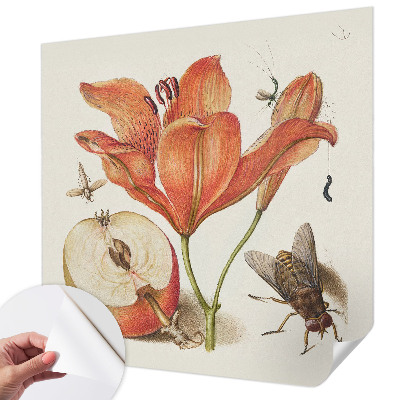 Self-adhesive wall mural Botanical illustration