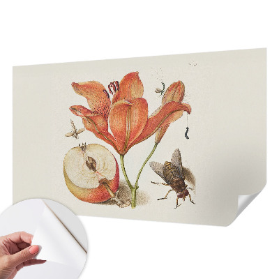 Self-adhesive wall mural with a botanical illustration design