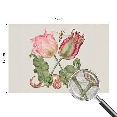 Peel and stick wall mural Tulip beauty