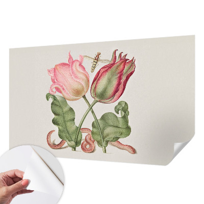 Peel and stick wall mural Tulip beauty