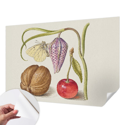 Self-adhesive photo wallpaper with a butterfly and plant design
