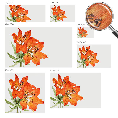 Stick-on wall mural Orange lily