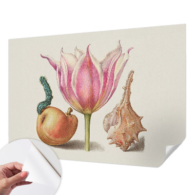 Removable wall mural featuring a natural symbiosis design