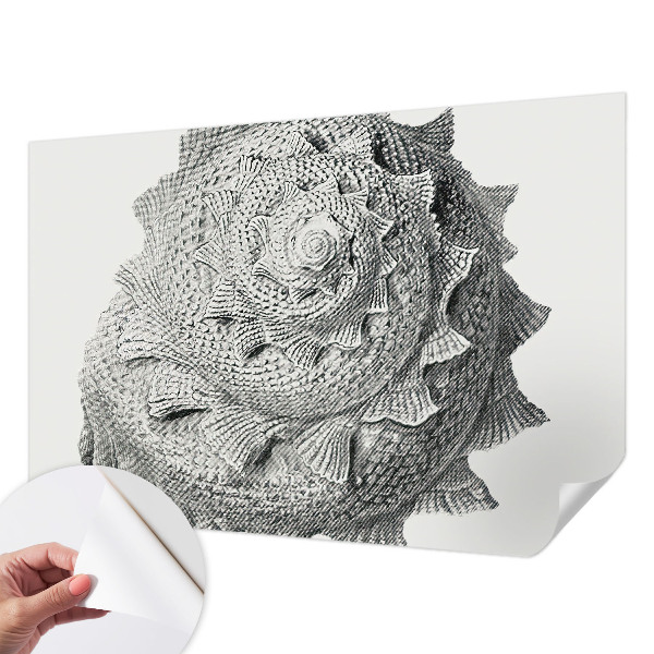 Nursery wall mural featuring The Art of Nature design