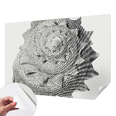 Nursery wall mural featuring The Art of Nature design