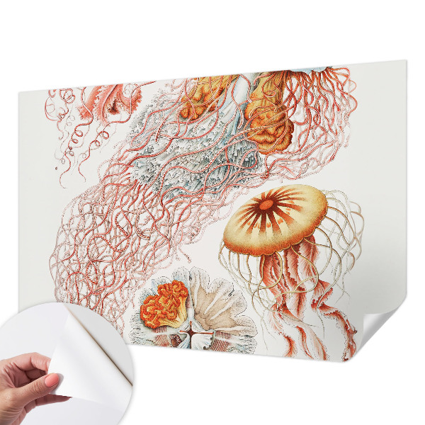 Peel and stick wall mural Fancy jellyfish