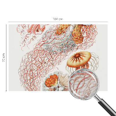 Peel and stick wall mural with a fancy jellyfish design