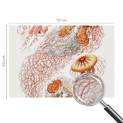 Peel and stick wall mural with a fancy jellyfish design