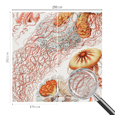 Peel and stick wall mural Fancy jellyfish