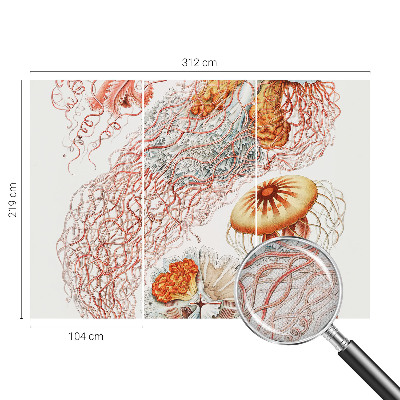 Peel and stick wall mural Fancy jellyfish