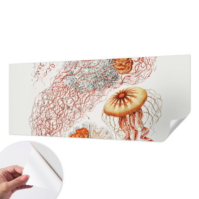 Peel and stick wall mural Fancy jellyfish