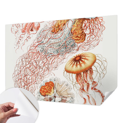 Peel and stick wall mural Fancy jellyfish