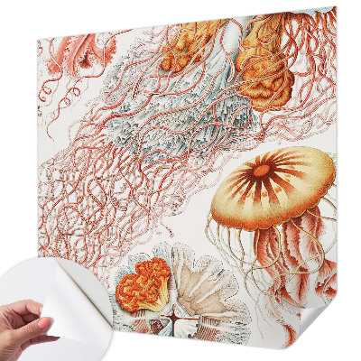 Peel and stick wall mural Fancy jellyfish