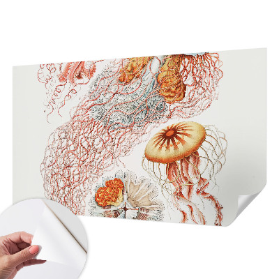 Peel and stick wall mural with a fancy jellyfish design