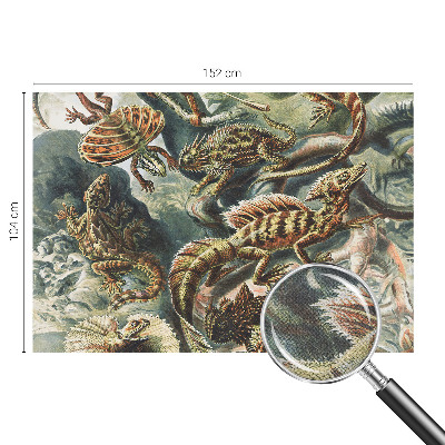 Baby room wall mural Exotic reptiles