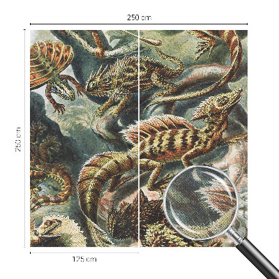 Baby room wall mural Exotic reptiles