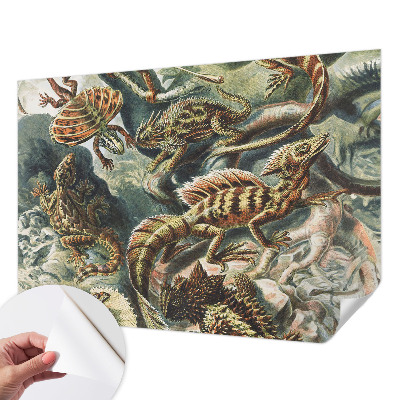 Baby room wall mural Exotic reptiles