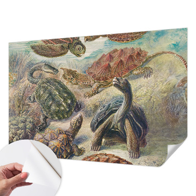 Self-adhesive wall mural with a turtle fauna design