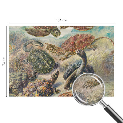 Self-adhesive wall mural with a turtle fauna design